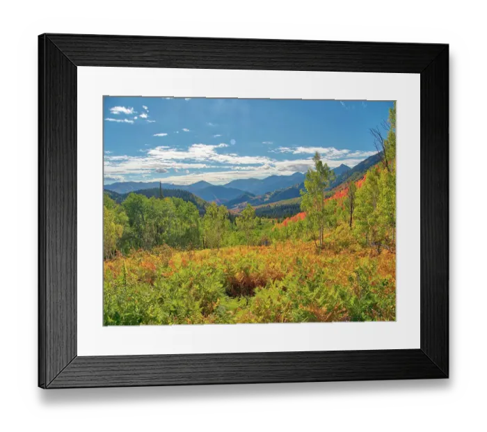 Framed Print : USA, Utah, Logan Pass. Colorful autumn in Provo Pass