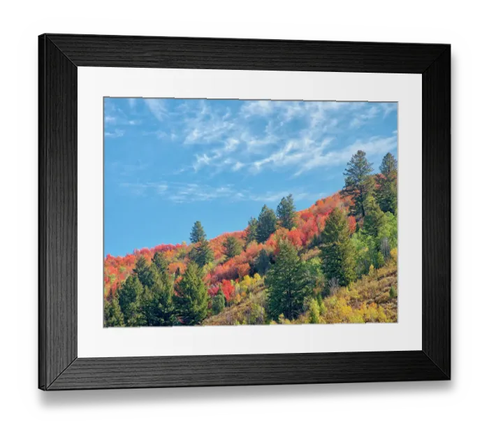 Framed Print : USA, Utah, Logan Pass. Colorful autumn in Provo Pass Framed Print : USA, Utah, Logan Pass. Colorful autumn in Provo Pass