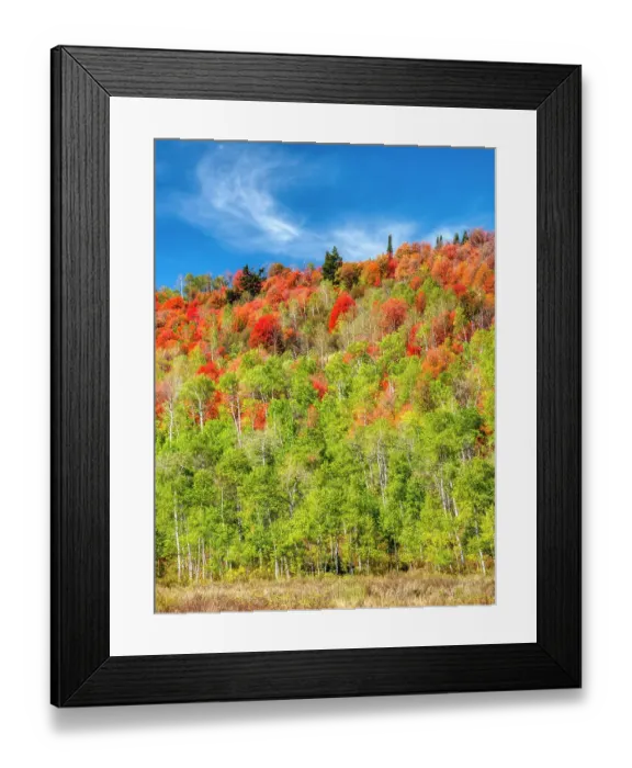 Framed Print : USA, Utah, Logan Pass. Colorful autumn in Provo Pass