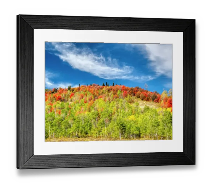 Framed Print : USA, Utah, Logan Pass. Colorful autumn in Provo Pass Framed Print : USA, Utah, Logan Pass. Colorful autumn in Provo Pass