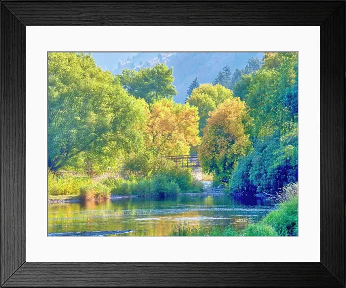 Framed Print : USA, Utah, Logan Canyon. Colorful aspens in autumn Framed Print : USA, Utah, Logan Canyon. Colorful aspens in autumn