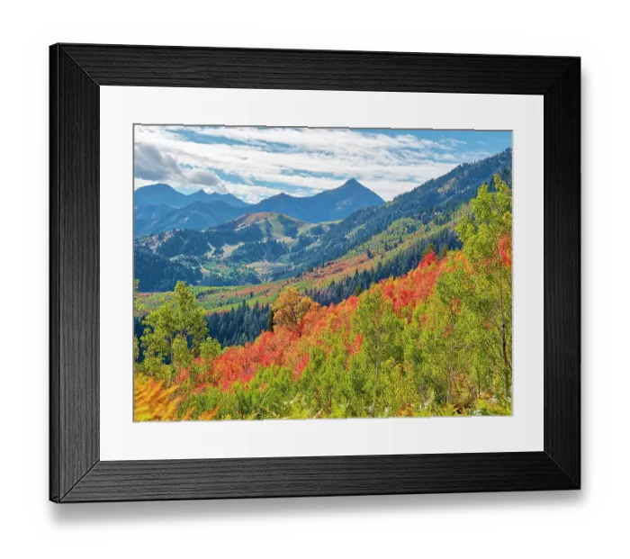 Framed Print : USA, Utah, Logan Pass. Colorful autumn in Provo Pass Framed Print : USA, Utah, Logan Pass. Colorful autumn in Provo Pass