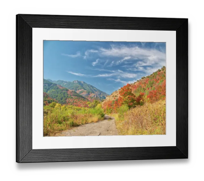 Framed Print : USA, Utah, Logan Canyon. Colorful aspens in autumn