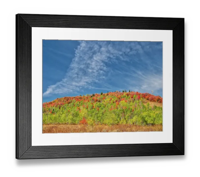 Framed Print : USA, Utah, Logan Canyon. Colorful aspens in autumn