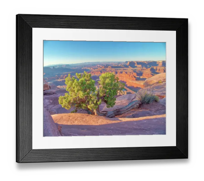 Framed Print : USA, Utah. Dead Horse Point State Park, sunrise view of the canyon below