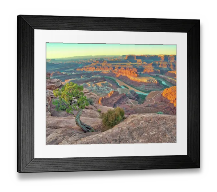 Framed Print : USA, Utah. Dead Horse Point State Park, sunrise view of the canyon below Framed Print : USA, Utah. Dead Horse Point State Park, sunrise view of the canyon below
