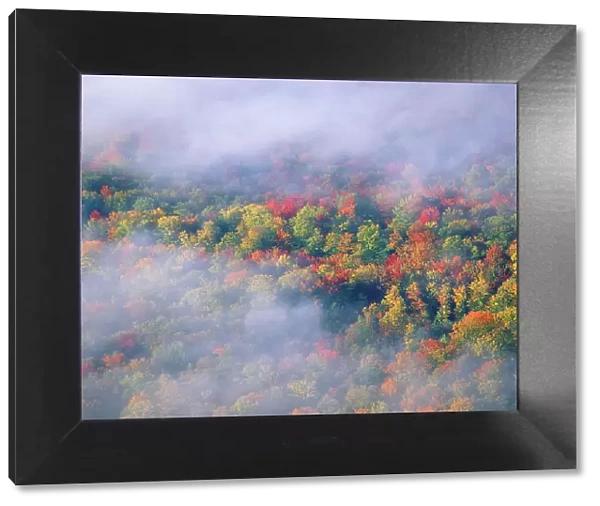 USA, Vermont. Overview of wispy clouds and forest in autumn foliage