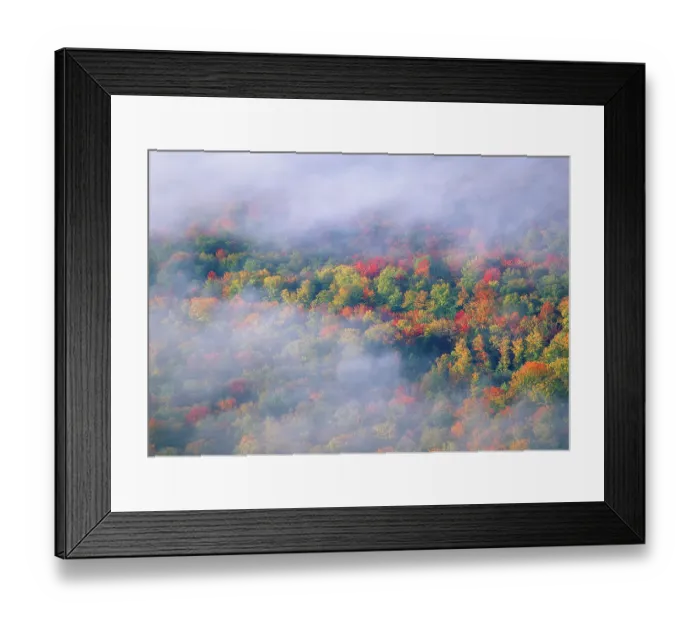 Framed Print : USA, Vermont. Overview of wispy clouds and forest in autumn foliage