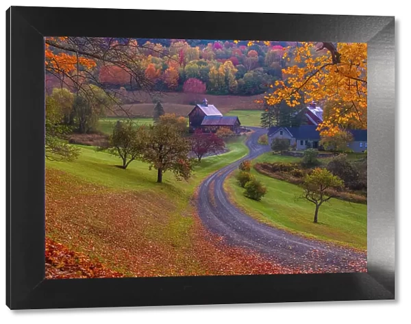 USA, Vermont, Woodstock. Winding road to Sleepy Hollow Farm in autumn. (Editorial Use Only)