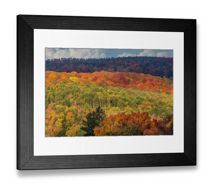 Framed Print : USA, Vermont, Peacham. Autumn forest landscape