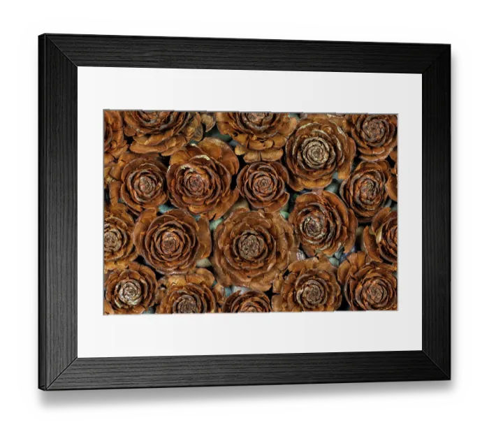 Framed Print : USA, Washington State, Seabeck. Close-up of deodar cedar cone patterns Framed Print : USA, Washington State, Seabeck. Close-up of deodar cedar cone patterns