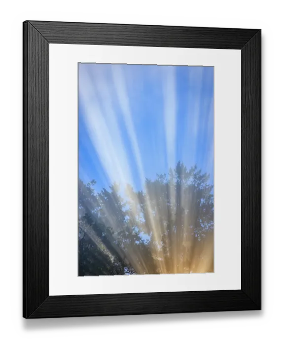 Framed Print : USA, Washington State, Seabeck. Morning sun filtering through fog
