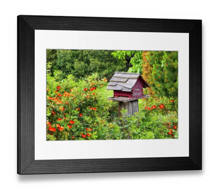 Framed Print : USA, Washington State, Palouse, Colfax. Red birdhouse sitting on a fence Framed Print : USA, Washington State, Palouse, Colfax. Red birdhouse sitting on a fence