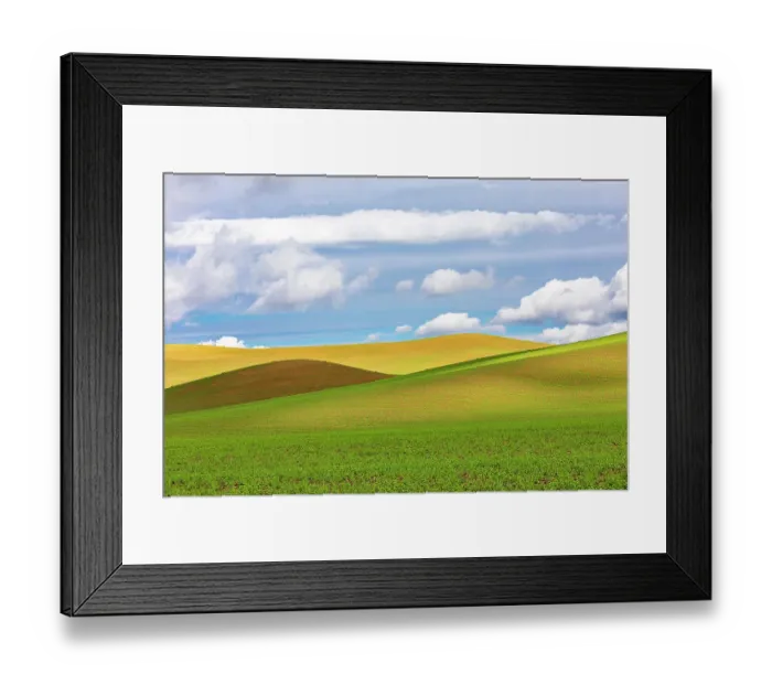 Framed Print : USA, Washington State, Palouse. Pullman Rolling fields of wheat Framed Print : USA, Washington State, Palouse. Pullman Rolling fields of wheat
