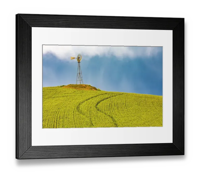 Framed Print : USA, Washington State, Palouse, Colfax. Green fields of wheat windmills. Weather Vane Framed Print : USA, Washington State, Palouse, Colfax. Green fields of wheat windmills. Weather Vane