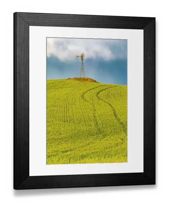 Framed Print : USA, Washington State, Palouse, Colfax. Green fields of wheat windmills. Weather Vane Framed Print : USA, Washington State, Palouse, Colfax. Green fields of wheat windmills. Weather Vane