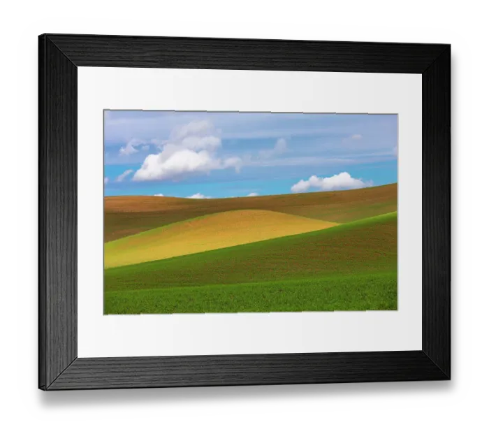 Framed Print : USA, Washington State, Palouse, Colfax. Rolling wheat fields Framed Print : USA, Washington State, Palouse, Colfax. Rolling wheat fields
