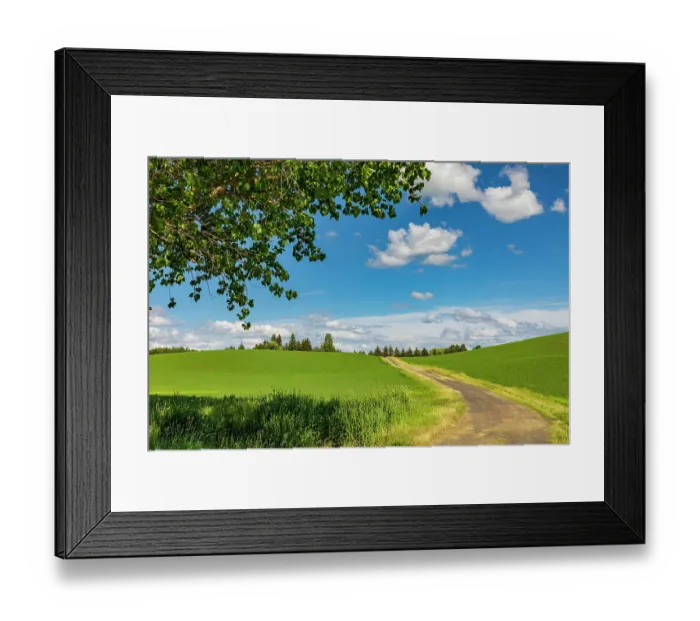 Framed Print : USA, Washington State, Palouse, Colfax. Green fields of wheat Framed Print : USA, Washington State, Palouse, Colfax. Green fields of wheat