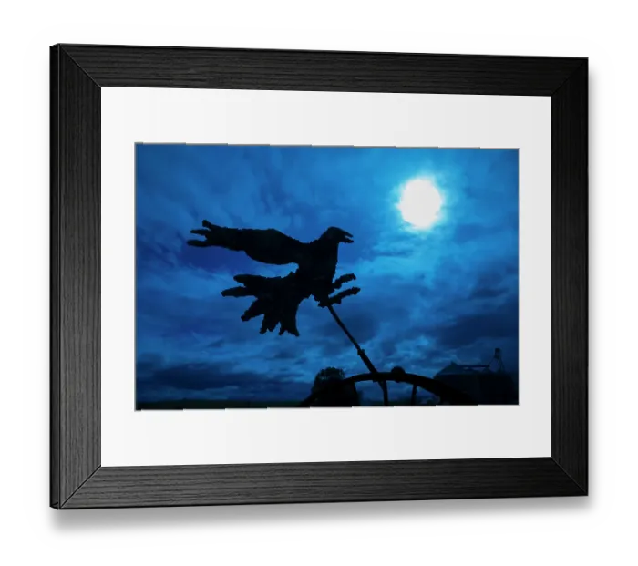 Framed Print : USA, Washington State, Palouse, Colfax. weathervane. Bird