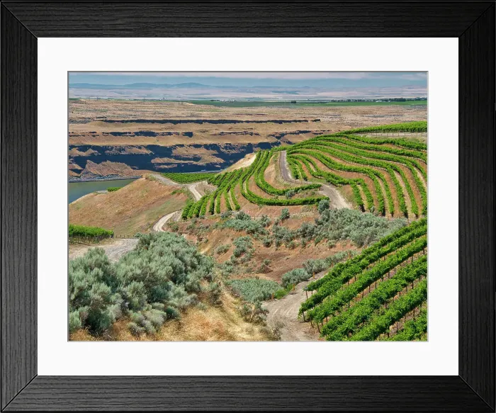 Framed Print : An extraordinary vineyard of beauty and scope carved out of a steep, south-facing slope alongside the Columbia River in the southeast corner of the Horse Heaven Hills