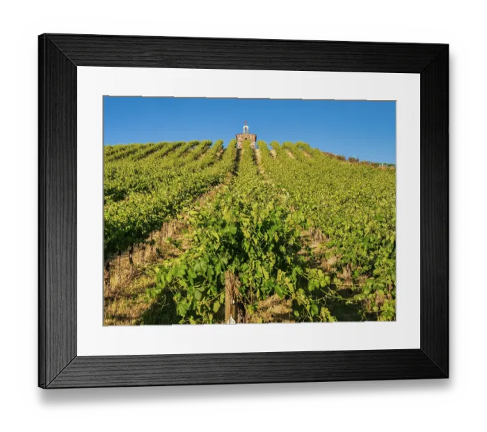Framed Print : Red Willow Vineyards with stone chapel. (PR) Framed Print : Red Willow Vineyards with stone chapel. (PR)