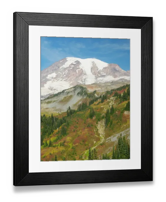 Framed Print : USA, Washington State, Mount Rainier National Park. Mount Rainier and fall color, view from Skyline Trail