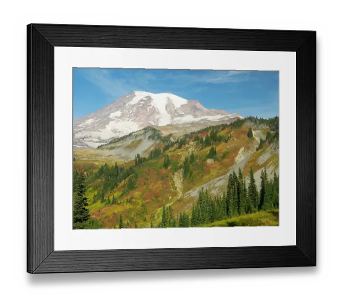 Framed Print : USA, Washington State, Mount Rainier National Park. Mount Rainier and fall color, view from Skyline Trail Framed Print : USA, Washington State, Mount Rainier National Park. Mount Rainier and fall color, view from Skyline Trail