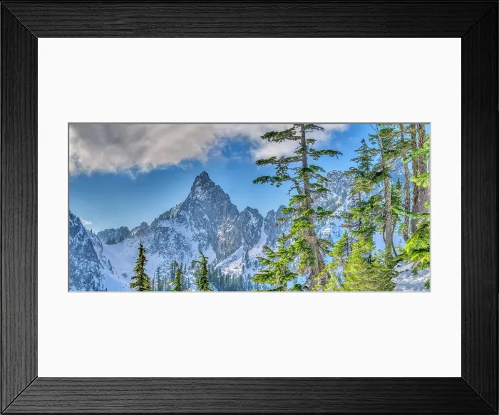 Framed Print : USA, Washington State, Alpine Lakes Wilderness. Panorama view of Kaleetan Peak and alpine fir trees