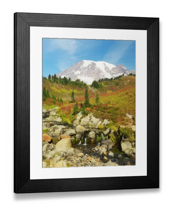 Framed Print : USA, Washington State, Mount Rainier National Park. Mount Rainier and fall color, with Edith Creek