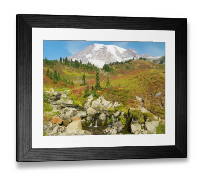 Framed Print : USA, Washington State, Mount Rainier National Park. Mount Rainier and fall color, with Edith Creek Framed Print : USA, Washington State, Mount Rainier National Park. Mount Rainier and fall color, with Edith Creek