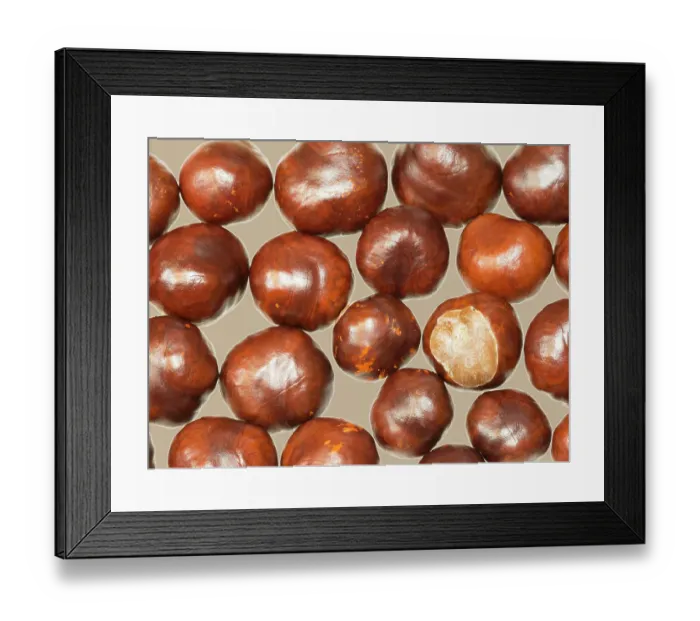Framed Print : USA, Washington State. Chestnut still-life, chestnuts close-up with tan background