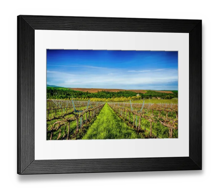 Framed Print : USA, Washington State, Walla Walla. Spring morning on Figgins Estate Vineyard in Walla Walla's Mill Creek district. (Editorial Use Only) Framed Print : USA, Washington State, Walla Walla. Spring morning on Figgins Estate Vineyard in Walla Walla's Mill Creek district. (Editorial Use Only)