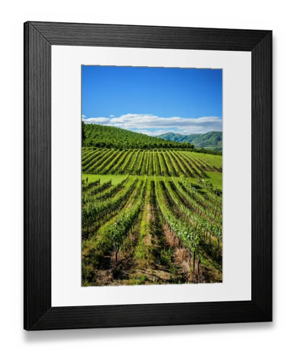 Framed Print : USA, Washington State, Lake Chelan. The estate vineyard of Lake Chelan Winery enjoys a striking view of Lake Chelan. (Editorial Use Only) Framed Print : USA, Washington State, Lake Chelan. The estate vineyard of Lake Chelan Winery enjoys a striking view of Lake Chelan. (Editorial Use Only)