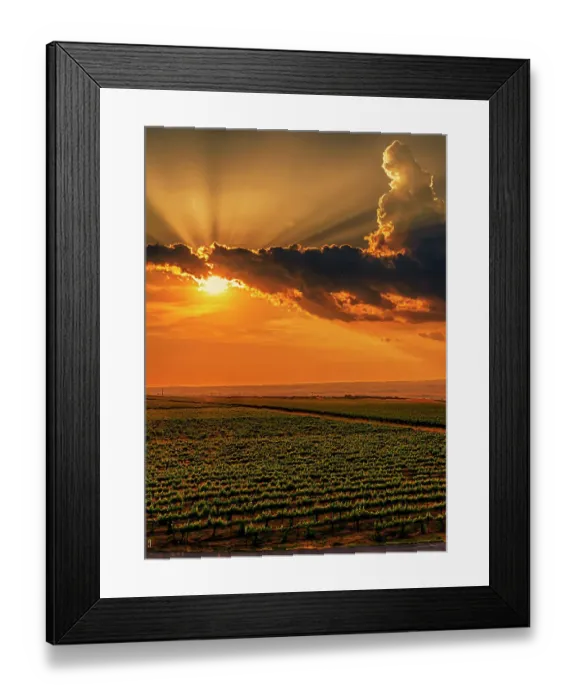 Framed Print : USA, Washington State, Red Mountain. Sunset over Kiona Winery and Vineyards on Red Mountain. (Editorial Use Only) Framed Print : USA, Washington State, Red Mountain. Sunset over Kiona Winery and Vineyards on Red Mountain. (Editorial Use Only)