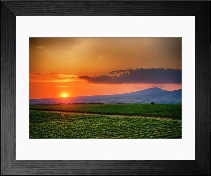 Framed Print : USA, Washington State, Red Mountain. Sunset over Kiona Winery and Vineyards on Red Mountain. (Editorial Use Only) Framed Print : USA, Washington State, Red Mountain. Sunset over Kiona Winery and Vineyards on Red Mountain. (Editorial Use Only)