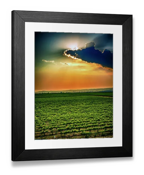 Framed Print : USA, Washington State, Red Mountain. Sunset over Kiona Winery and Vineyards on Red Mountain. (Editorial Use Only) Framed Print : USA, Washington State, Red Mountain. Sunset over Kiona Winery and Vineyards on Red Mountain. (Editorial Use Only)