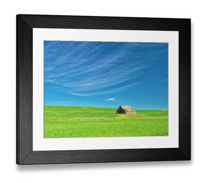 Framed Print : USA, Washington State, Palouse Region. Old barn in spring wheat field (PR) Framed Print : USA, Washington State, Palouse Region. Old barn in spring wheat field (PR)