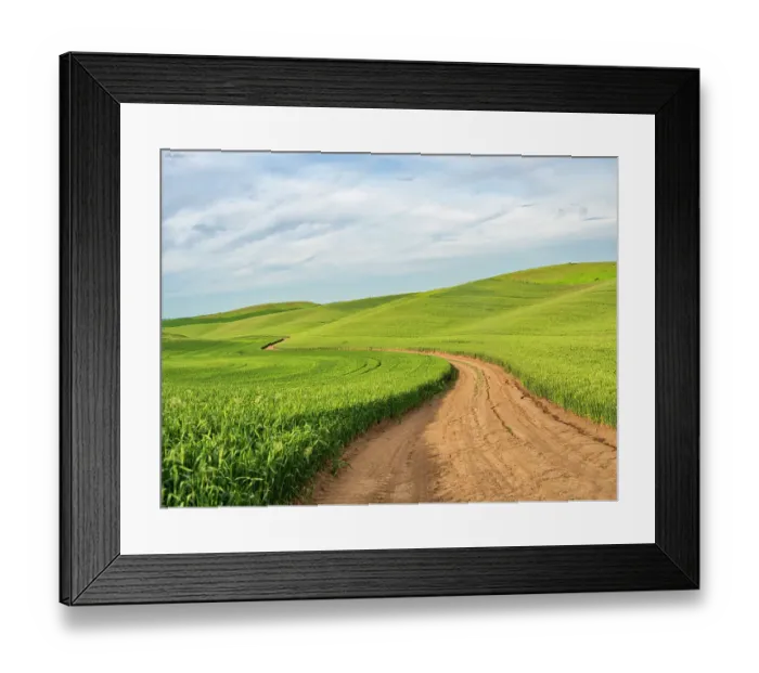 Framed Print : USA, Washington State, Palouse Region. Road through field of wheat