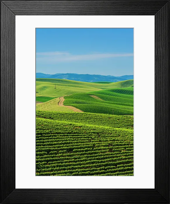 Framed Print : USA, Washington State, Walla Walla. The estate vineyard of Spring Valley Vineyard is bordered by historic wheatfields north of Walla Walla. (Editorial Use Only) Framed Print : USA, Washington State, Walla Walla. The estate vineyard of Spring Valley Vineyard is bordered by historic wheatfields north of Walla Walla. (Editorial Use Only)