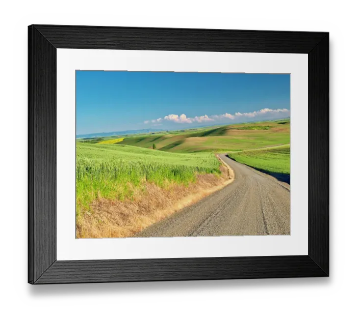 Framed Print : USA, Washington State, Palouse Region. Country backroad Framed Print : USA, Washington State, Palouse Region. Country backroad