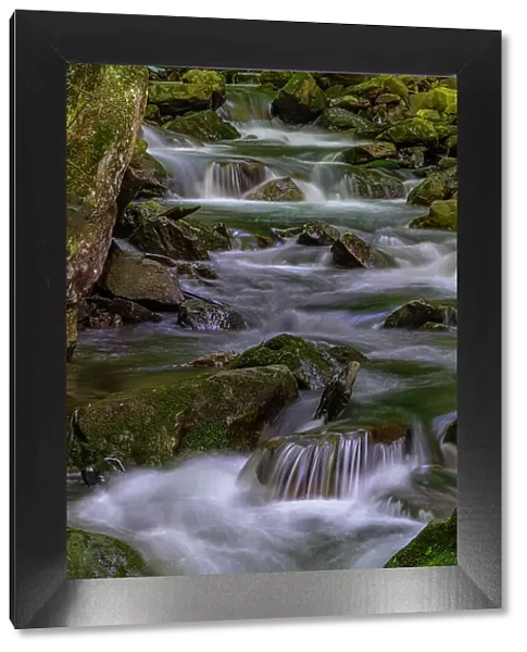 USA, West Virginia, New River Gorge National Park. Stream rapids in spring