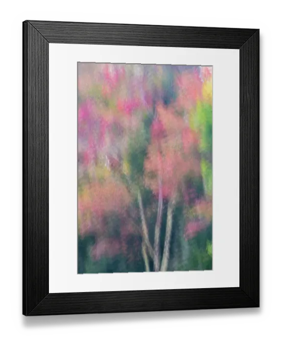 Framed Print : USA, West Virginia, Canaan Valley State Park