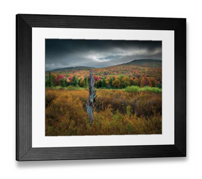 Framed Print : USA, West Virginia, Canaan Valley State Park. Forest and hills in autumn Framed Print : USA, West Virginia, Canaan Valley State Park. Forest and hills in autumn