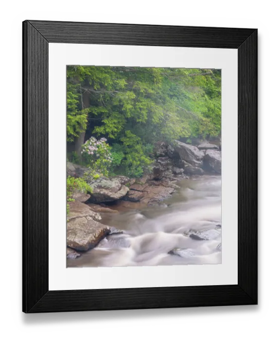 Framed Print : USA, West Virginia, Blackwater Falls State Park. Blackwater River rapids Framed Print : USA, West Virginia, Blackwater Falls State Park. Blackwater River rapids