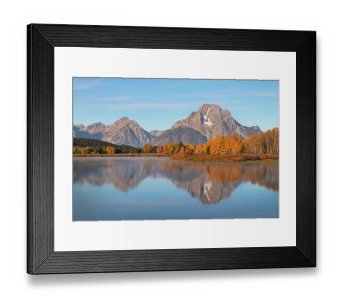Framed Print : Fall color at Oxbow Bend of the Snake River, Grand Teton National Park, Wyoming Framed Print : Fall color at Oxbow Bend of the Snake River, Grand Teton National Park, Wyoming
