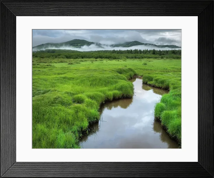 Framed Print : USA, West Virginia, Canaan Valley State Park. Stream in grassy valley Framed Print : USA, West Virginia, Canaan Valley State Park. Stream in grassy valley