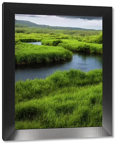 USA, West Virginia, Canaan Valley State Park. Storm clouds over stream in grassy valley