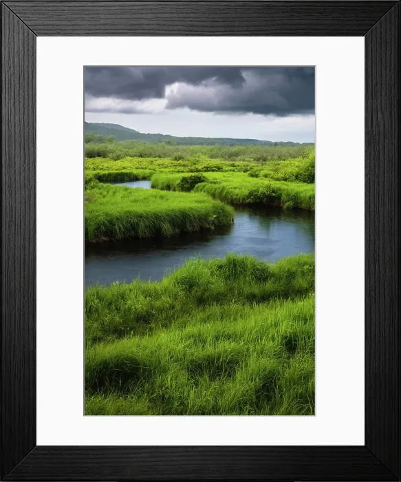 Framed Print : USA, West Virginia, Canaan Valley State Park. Storm clouds over stream in grassy valley Framed Print : USA, West Virginia, Canaan Valley State Park. Storm clouds over stream in grassy valley