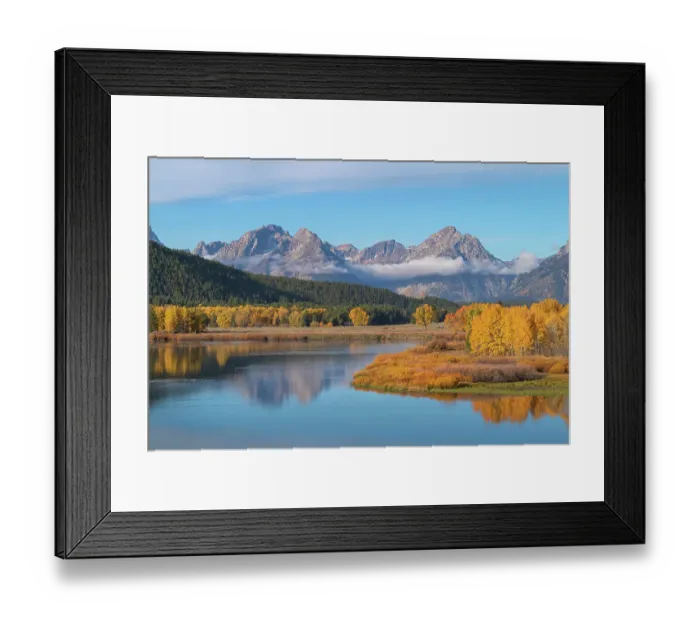 Framed Print : Fall color at Oxbow Bend of the Snake River, Grand Teton National Park, Wyoming Framed Print : Fall color at Oxbow Bend of the Snake River, Grand Teton National Park, Wyoming