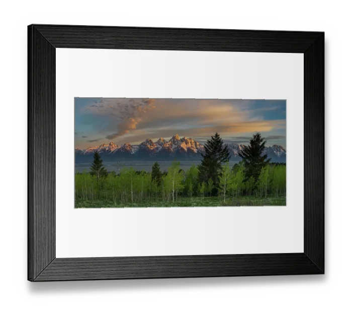 Framed Print : USA, Wyoming. Panoramic of Teton Mountains with Aspen and evergreen trees Framed Print : USA, Wyoming. Panoramic of Teton Mountains with Aspen and evergreen trees